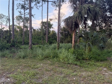 0 66th St SW unit 225071554, Central Naples, FL 34105 - photo 5