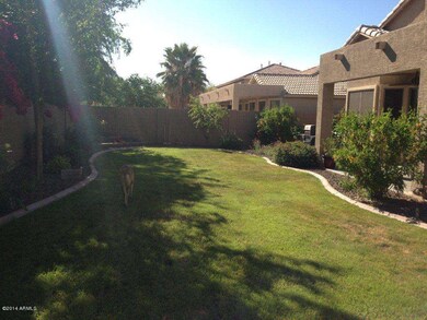 Backyard looking westiris