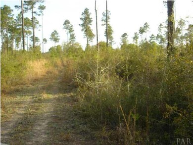 One of several cleared paths from which to view the property.