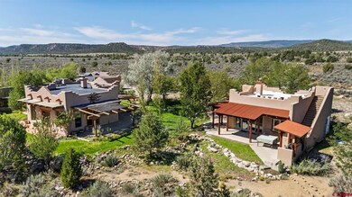 9296 County Road 213, Durango, CO 81303 - photo 4