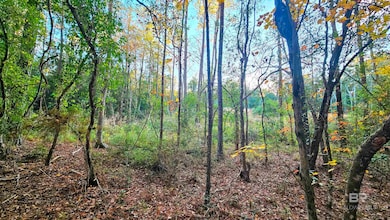 7418 Bromley Rd unit 1, Bay Minette, AL 36507 - photo 4