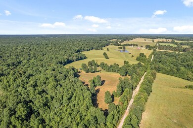 338 Largent Hollow Rd unit 380, Tennessee Ridge, TN 37178 - photo 5