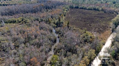 xx1 Seay Rd, Cottondale, FL 32431 - photo 4