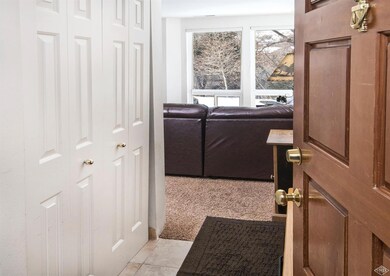 Welcome, front hall closets