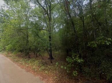 Maguire Rd, Cleveland, TX 77327 - photo 6