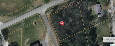 7 Meadowlark Ln, Blountsville, AL 35031 - photo 3