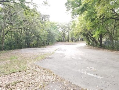 4814 Clewis Ave, Tampa, FL 33610 - photo 4