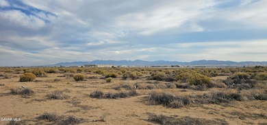 0 Avenue L4 23rd St E unit 25008152, Palmdale, CA 93550 - photo 3