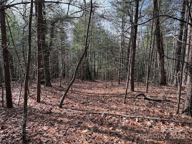 TBD Buck Mountain Rd unit 21, Purlear, NC 28665 - photo 6