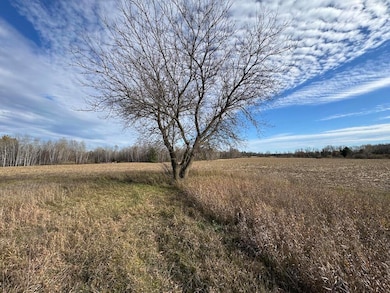 409 S Morrison Rd, West Branch, MI 48661 - photo 3