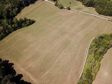 1809 Coles Chapel Rd, Sparta, TN 38583 - photo 6