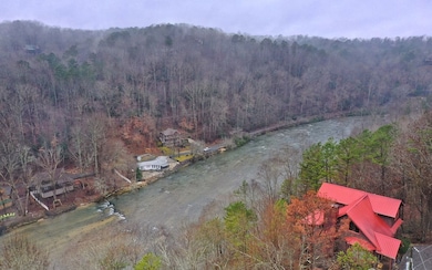 Additional View
