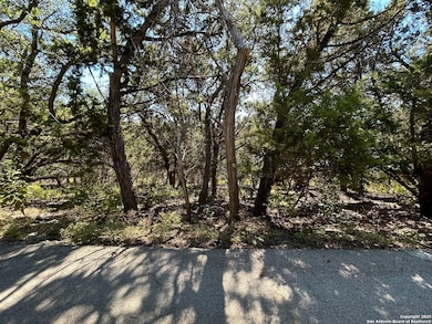 944 Olive Tree, Canyon Lake, TX 78133 - photo 7