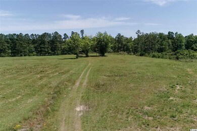 3339 W Highway 501 unit TBD SC HWY 548 at US, Conway, SC 29527 - photo 4