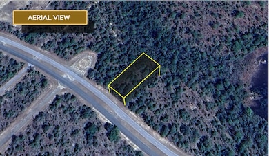 0 Elkcam Blvd unit 25547623, Chipley, FL 32428 - photo 6