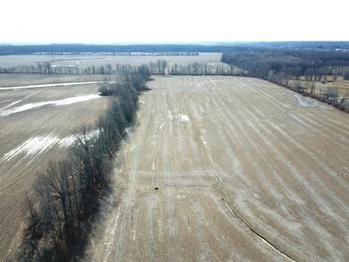 DJI_0946