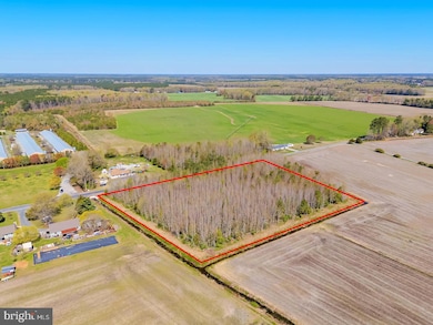 0 E Trap Pond Rd unit DESU2083648, Georgetown, DE 19947 - photo 6