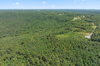 5 AC Mountain Crest Dr, Spencer, TN 38585 - photo 3