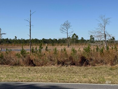 4 County Road 64 unit Lot 4, Robertsdale, AL 36567 - photo 7