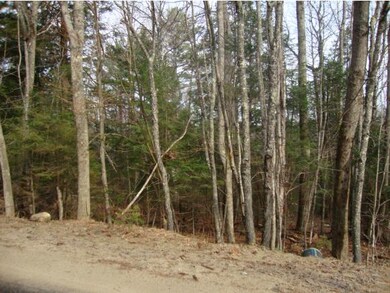 5-1-1 Hodgeman Hill Rd, Campton, NH 03223 - photo 2