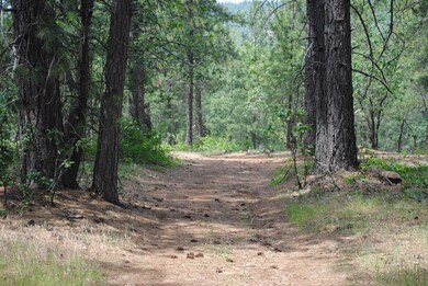 Oak Run Rd. to Fern Rd 029
