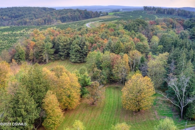 LOT 3 Ridge Rd, Benton, PA 17814 - photo 5