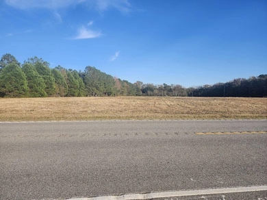 Cedar & Pine on the left