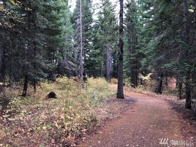 2081 Ruby King Loop, Cle Elum, WA 98922 - photo 2