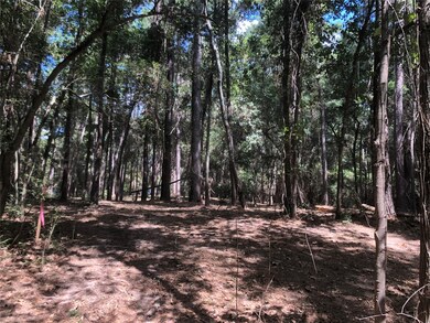 14 Pelican St, Magnolia, TX 77355 - photo 6