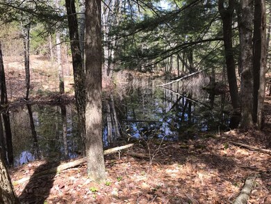 305 Middleton Rd, Milton, NH 03851 - photo 4