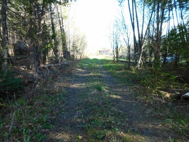 DSCN0079
