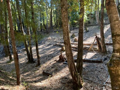 27208 Bear Cir, Brooktrails, CA 95490 - photo 5