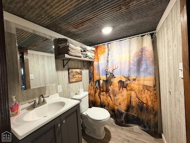 86 Palestine Rd, Warm Springs, AR 72478 - photo 6