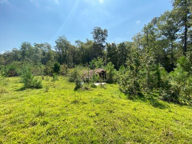 00 Mill Creek Rd, Huntington, TX 75949 - photo 6