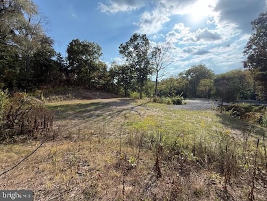 222 Siler Ln, Winchester, VA 22603 - photo 6