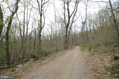 0 Tree Crops Ln unit 1000685031, Round Hill, VA 20141 - photo 6