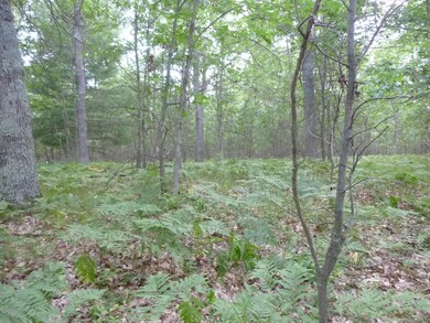 10800 N Beaver Trail, Lilley Township, MI 49309 - photo 2