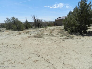 6805 Footjoy Rd, Farmington, NM 87402 - photo 2
