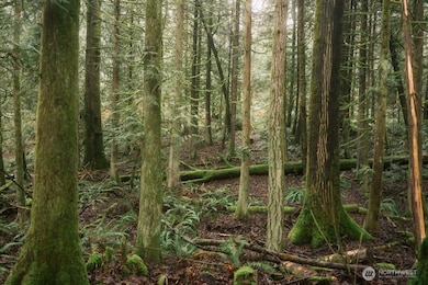 0 Lopez St, Bellingham, WA 98229 - photo 7