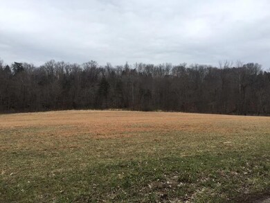 106 Hurricane Creek Rd, Tennessee Ridge, TN 37178 - photo 2