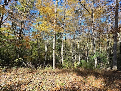 00 Rolling Hills Rd, Pineville, WV 24874 - photo 3