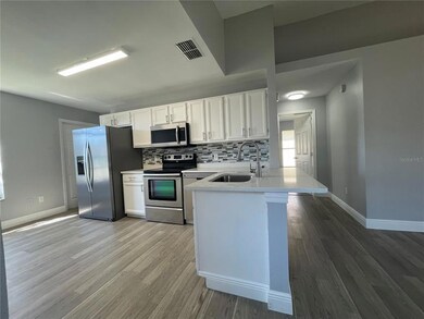 2321 Flamingo Lakes Dr, Kissimmee, FL 34743 - photo 2