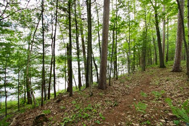 View of undeveloped land