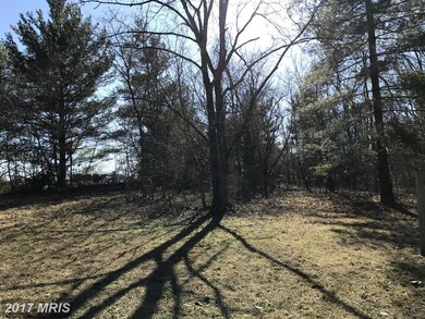 0 Cather Rd unit 1002496570, Berryville, VA 22611 - photo 6