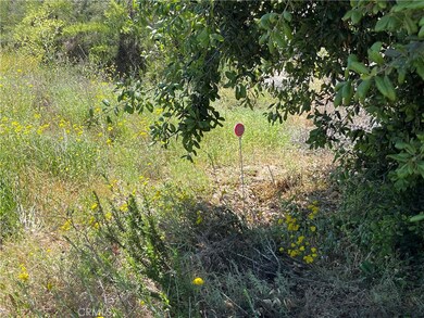 0 Tanager Way unit SW24111989, Hemet, CA 92544 - photo 5