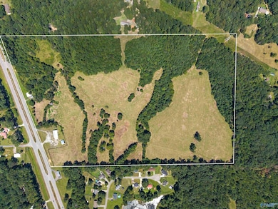 14298 Highway 231, Union Grove, AL 35175 - photo 4