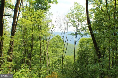 81.53 AC Dolly Sods-Forest Service Rd 19, Cabins, WV 26855 - photo 2