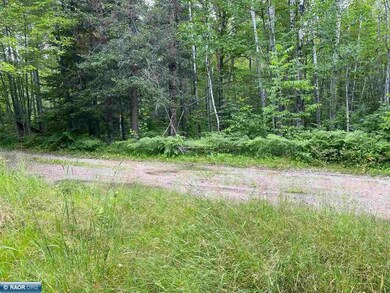 TBD Hwy 1, Tower, MN 55790 - photo 7