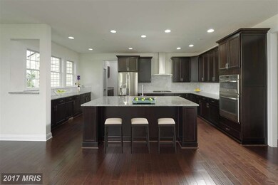 4803 River Crossing Ct, Ellicott City, MD 21042 - photo 4