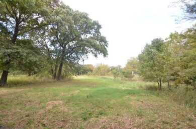 21.7 Ac Reeves Rd, Pottsboro, TX 75076 - photo 3